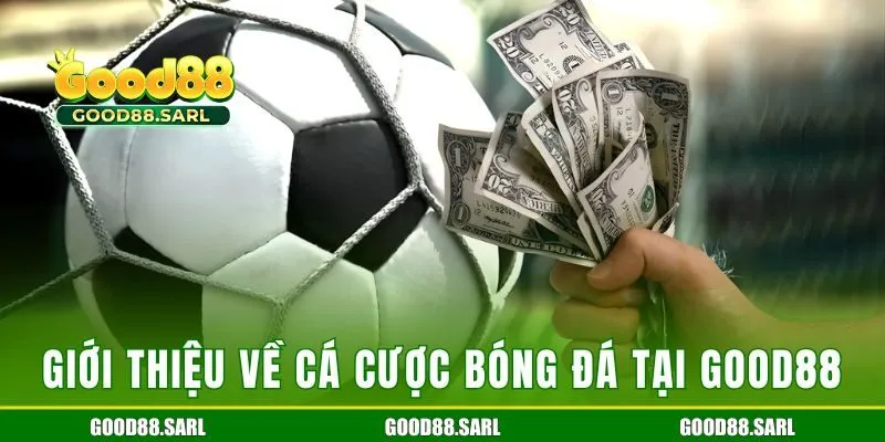 Giới thiệu về cá cược bóng đá tại GOOD88